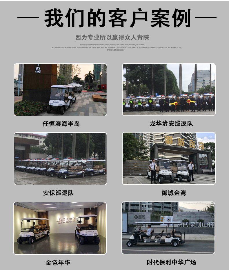 G2-1電動高爾夫觀光車看房四輪巡邏車電瓶貨運載(圖6)